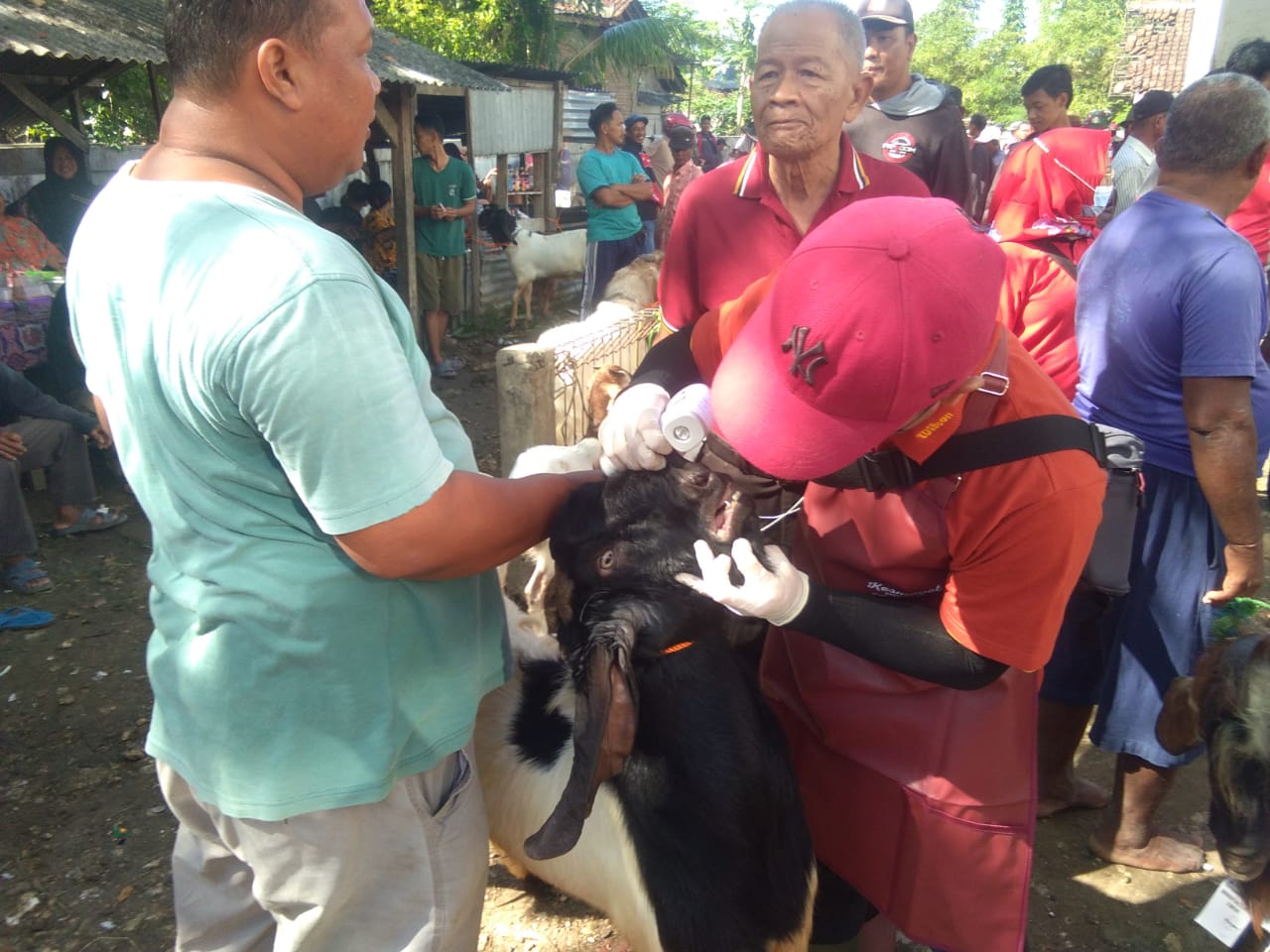 WhatsApp Image 2022 07 08 at 105641